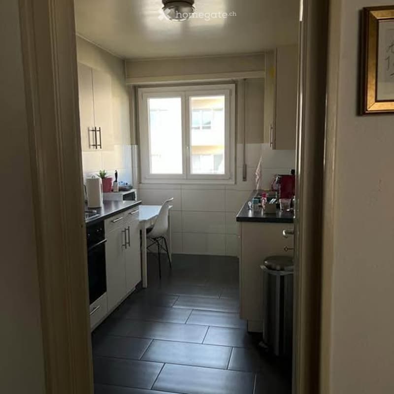 Sous-location meubé de 55 m² à Lausanne 3 mois (4)