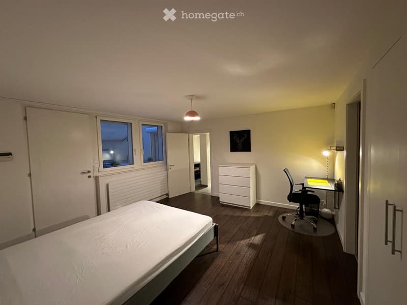 Appartement 2 pièces à louer dans une maison (4)