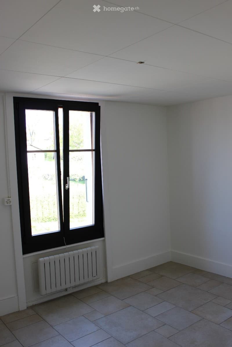 Maison villageoise - grand appartement familial (7)
