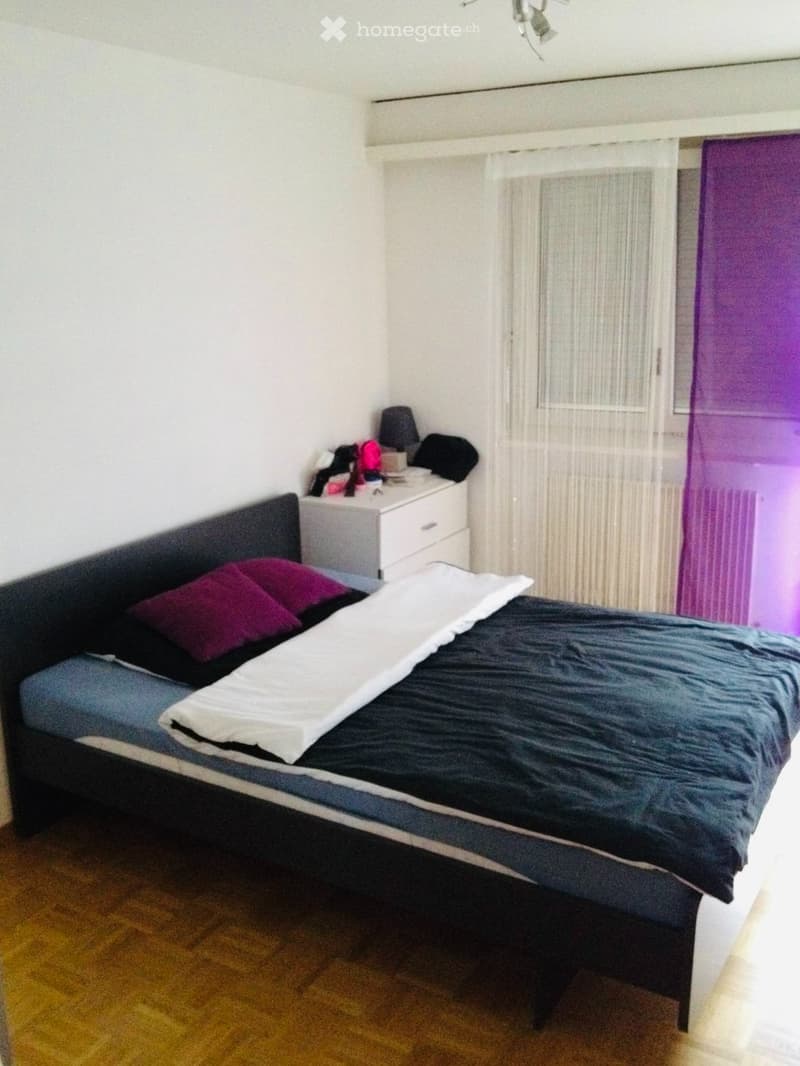 Zentrale 5 1/2 Zimmerwohnung im Zentrum von Visp (4)