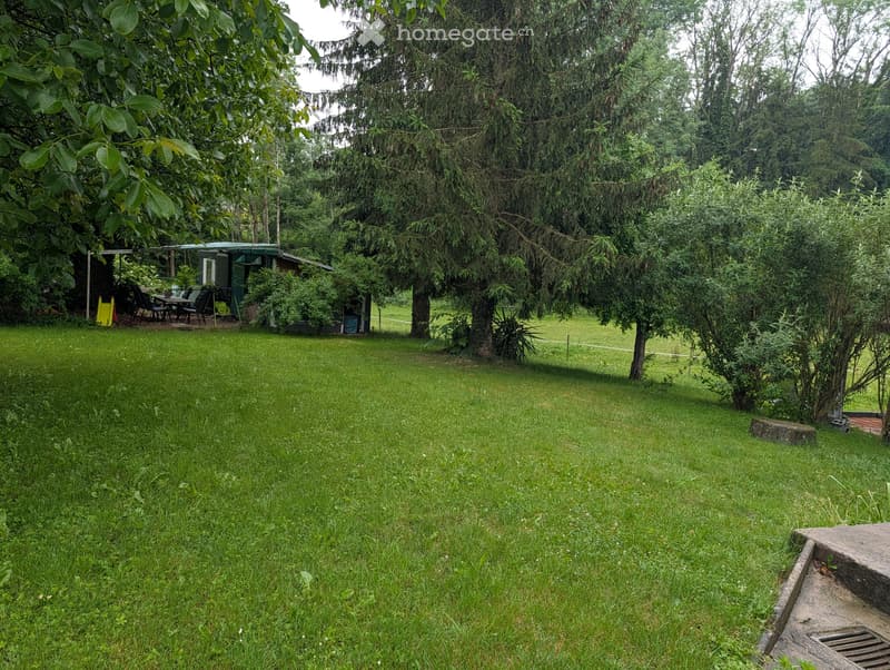Appartement 3 pieces 21 juillet (3)
