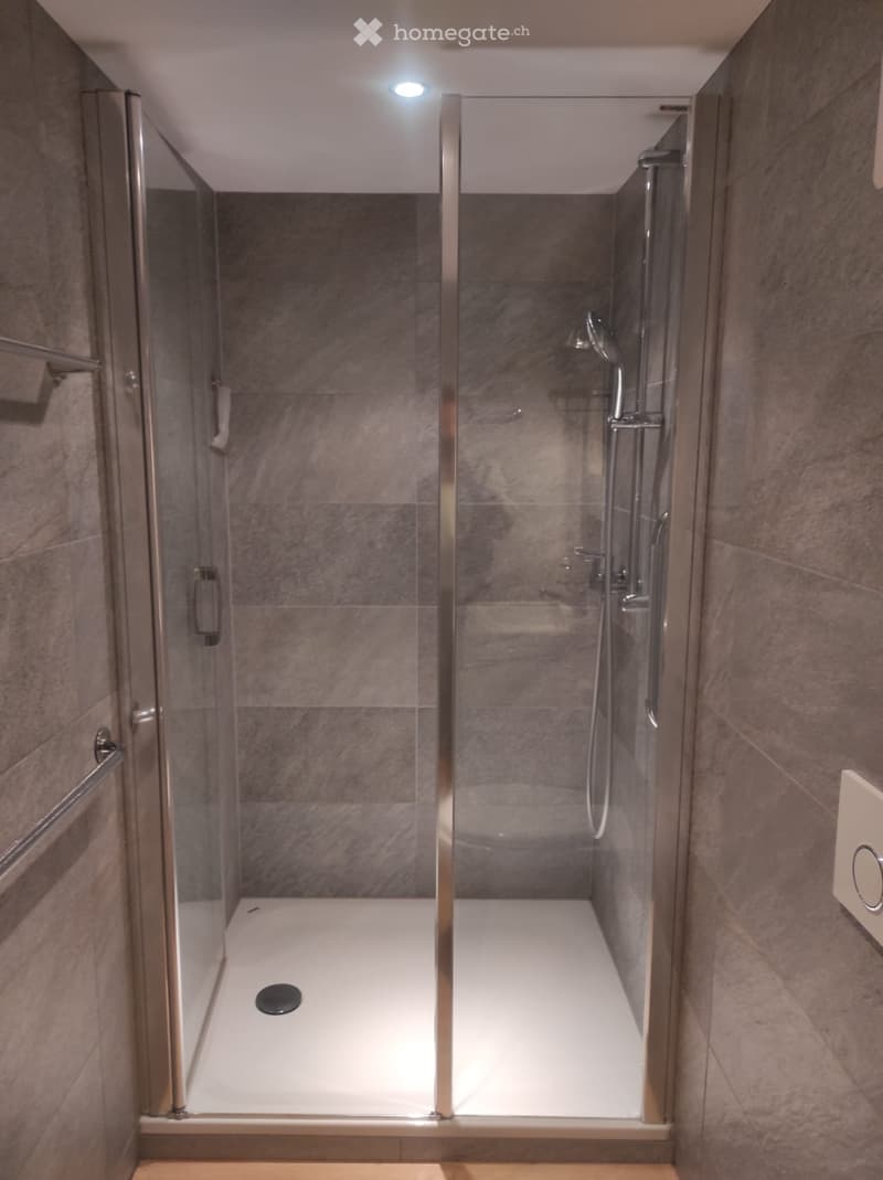 Bel appartement de 2,5 pièces dont une pièce en mezzanine (4)