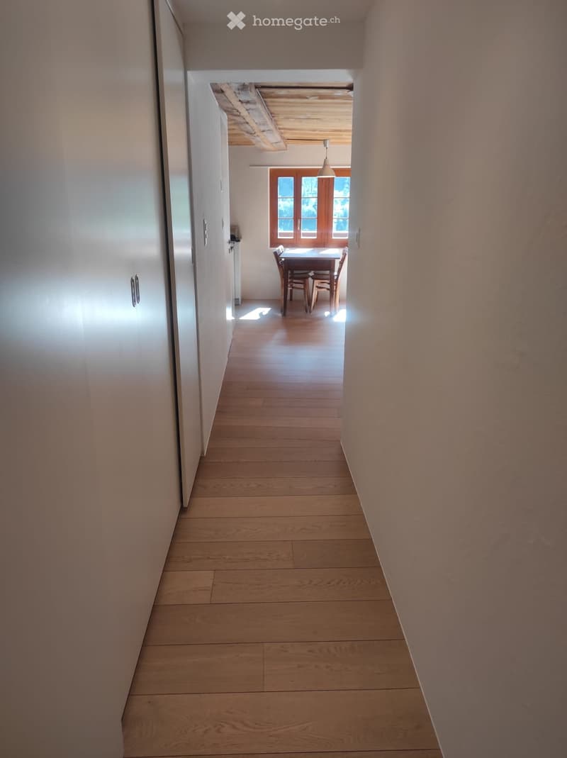 Bel appartement de 2,5 pièces dont une pièce en mezzanine (5)