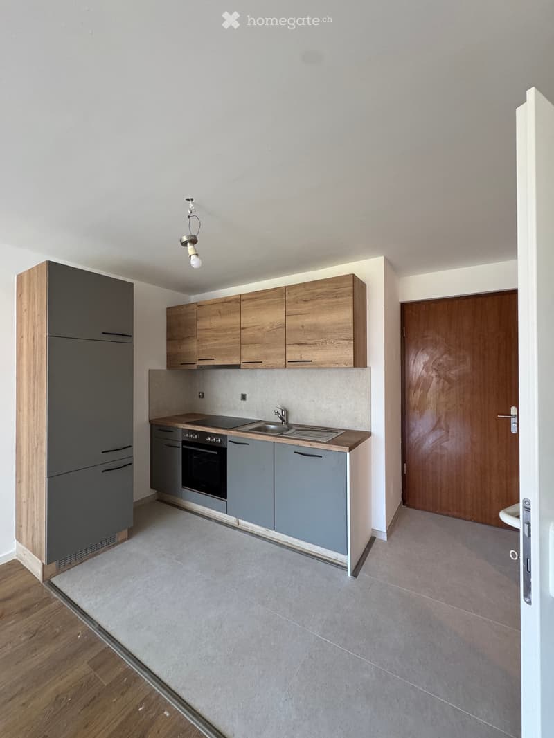 À louer à Massongex appartement refait 2.5 PCES (3)