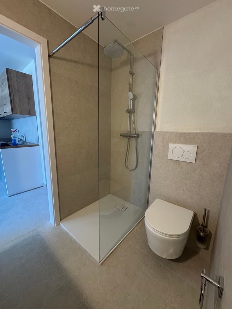 À louer à Massongex appartement refait 2.5 PCES (2)