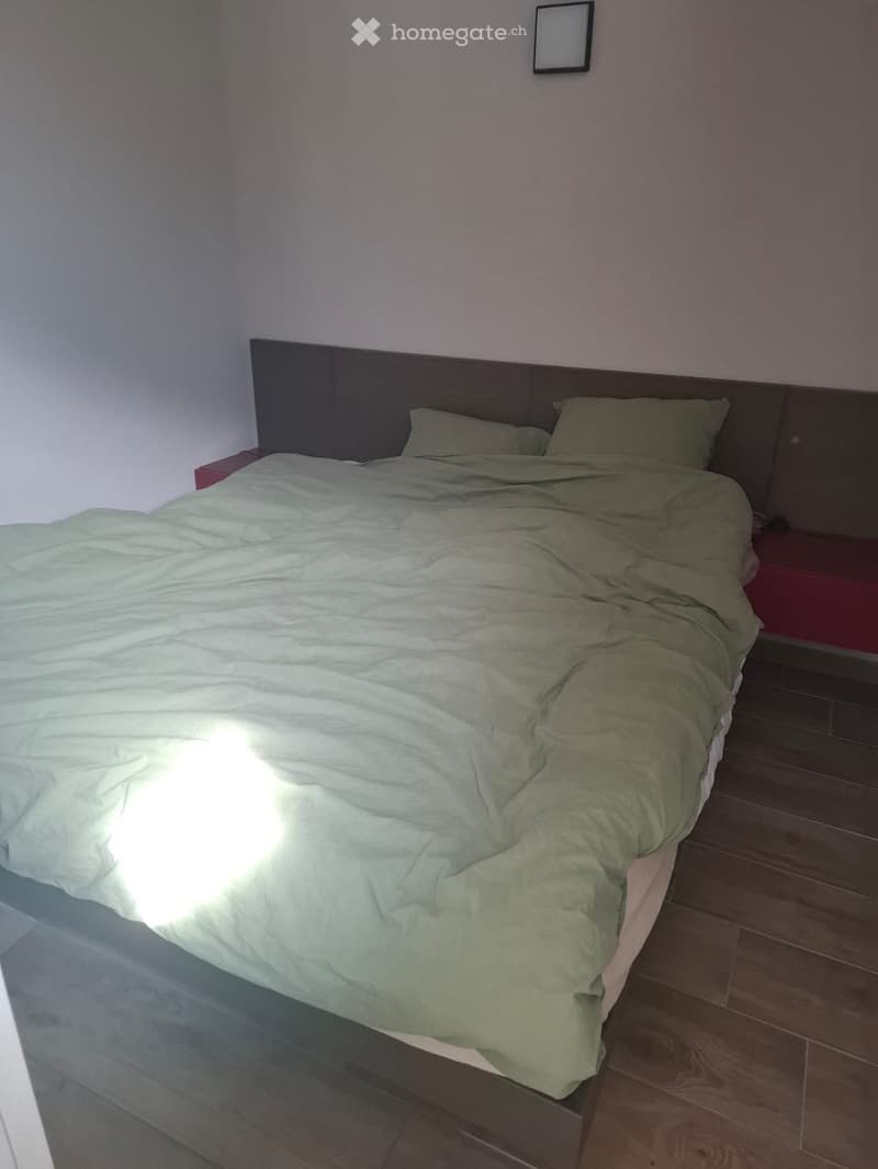 À remettre Appartement-loft meublé et équipé à Saxon (VS) (4)