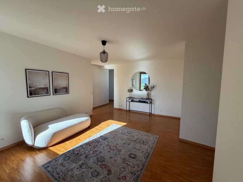 Appartement  dans la Vieille Ville de Genève  Bourg-de-Four (2)