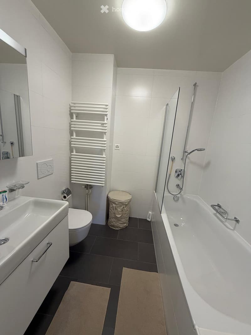 Appartement  dans la Vieille Ville de Genève  Bourg-de-Four (5)