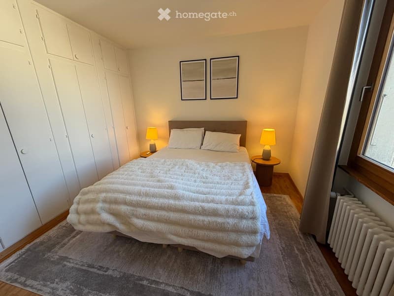 Appartement  dans la Vieille Ville de Genève  Bourg-de-Four (4)