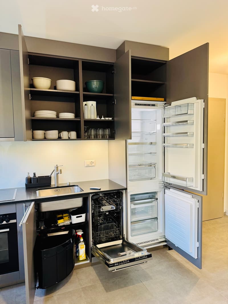Studio meublé avec jardin et parking privatif Confignon (3)