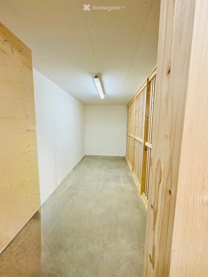 Studio meublé avec jardin et parking privatif Confignon (5)