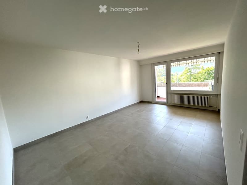 Entièrement rénové - spacieux 2.5 pièces (4)