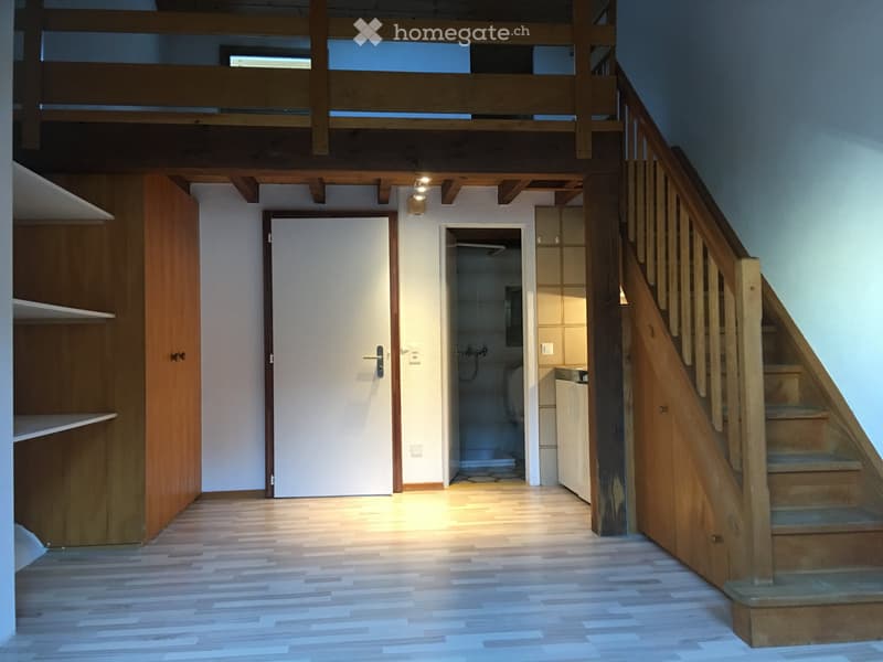 Studios très bien situés à Morges (1)
