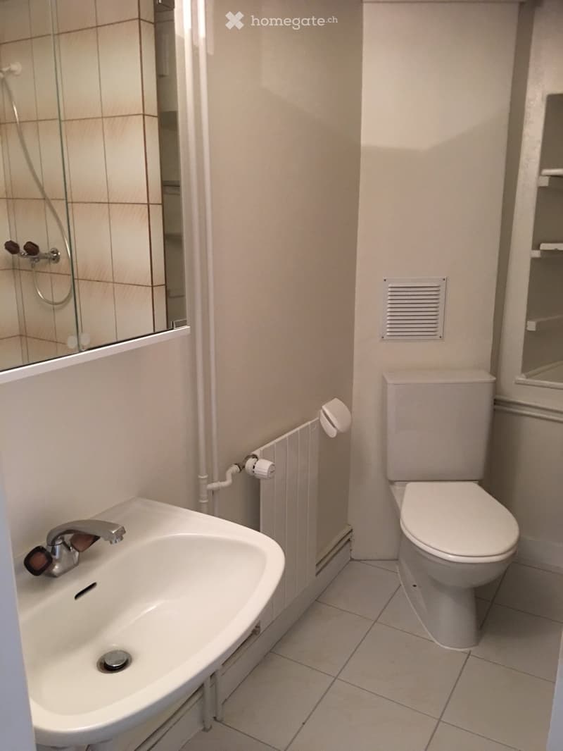 Studios très bien situés à Morges (4)