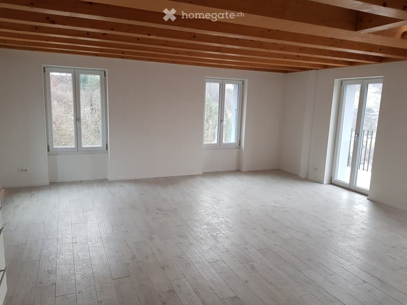 5.5 pièces en ville de Fribourg, vue exceptionnelle (3)