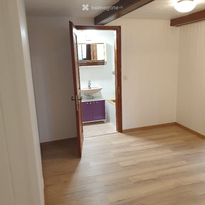 Appartement dans un chalet avec jardin privatif (2)