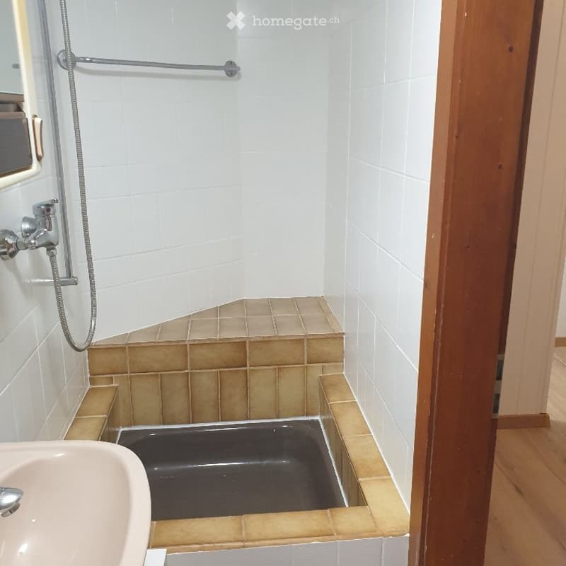 Appartement dans un chalet avec jardin privatif (4)