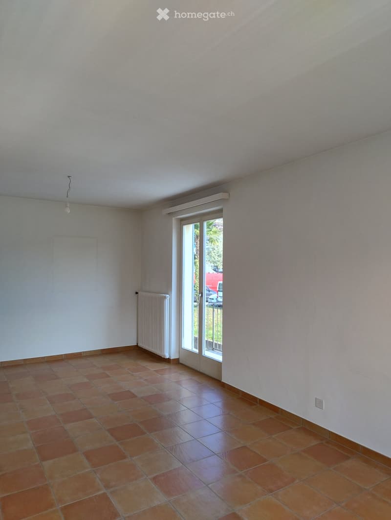 Luminoso appartamento a Minusio (3)