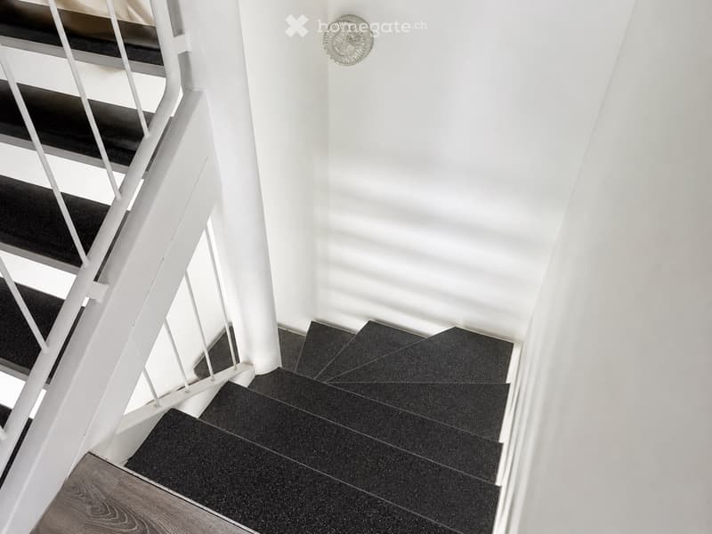 Grosszügiges 5.5-Zimmer-Haus mit 500 m² Gesamtfläche (5)
