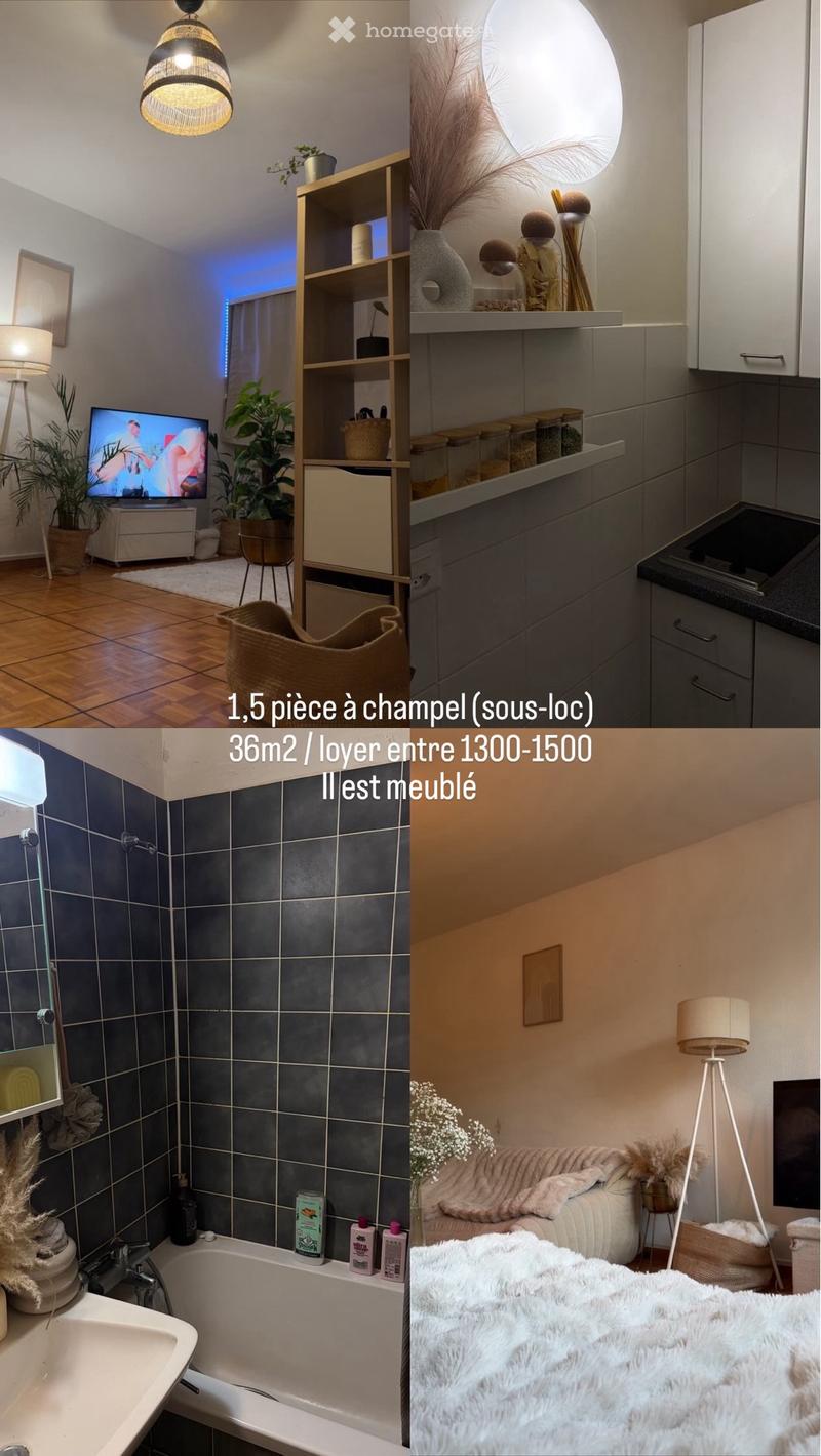 Appartement à sous-louer 1,5 (1)