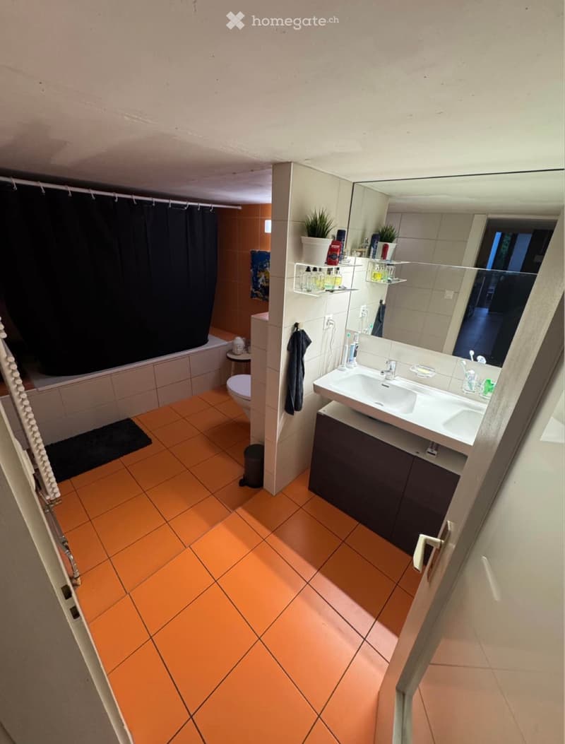 Magnifique loft duplex 4.5 pièces 150 m² Moudon (5)