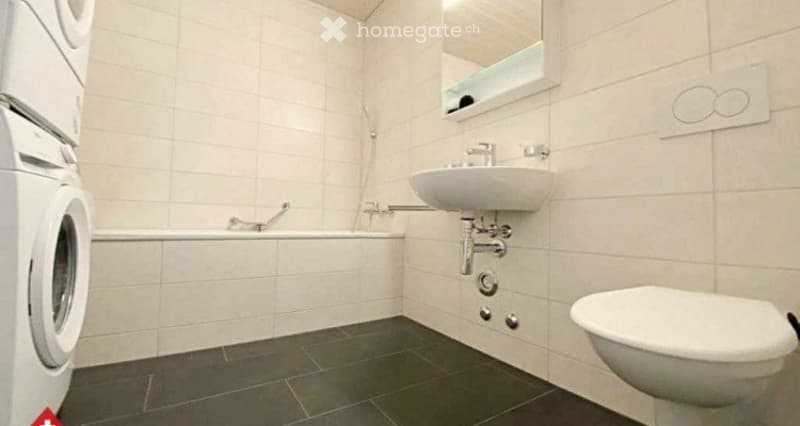 Appartement attique de 3.5 pièces avec mezzanine (5)