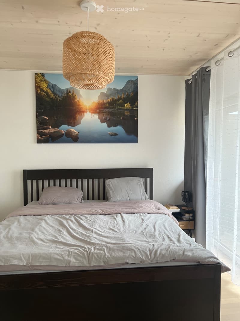 Magnifique appartement dans un charmant quartier (3)