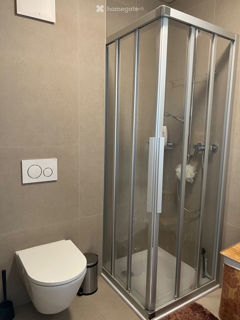 Magnifique appartement dans un charmant quartier (5)