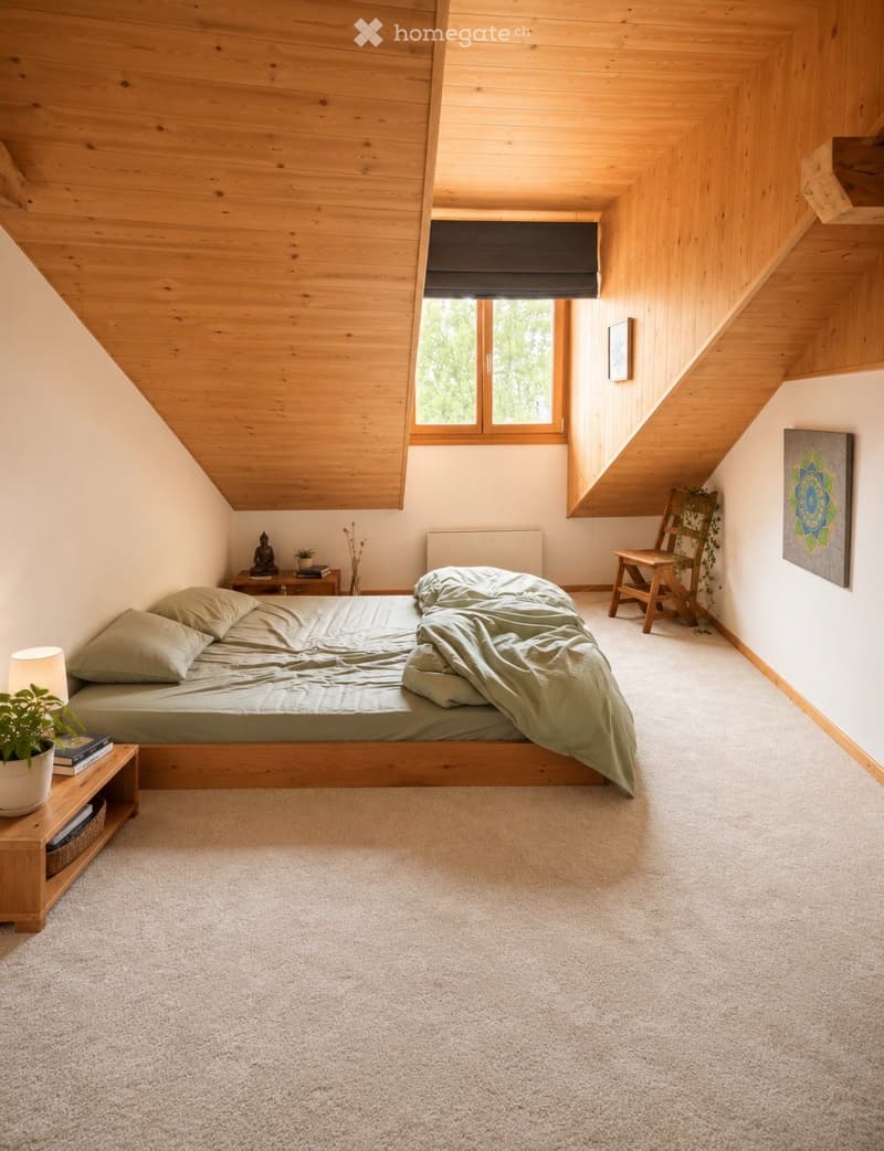 À VENDRE  Propriété de caractère à Berolle (9)