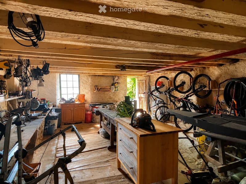 À VENDRE  Propriété de caractère à Berolle (10)