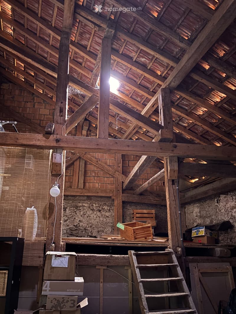 À VENDRE  Propriété de caractère à Berolle (11)