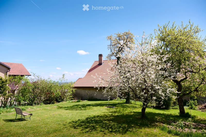 À VENDRE  Propriété de caractère à Berolle (3)