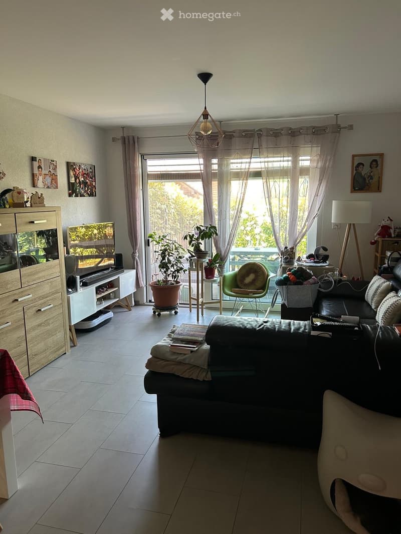 Appartement de 3,5 pièces à vendre à Promasens (3)
