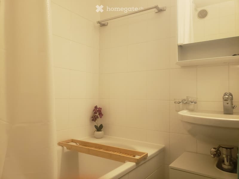 Spacieux 1.5pièce traversant avec balcon(Sous-Location 1007) (5)