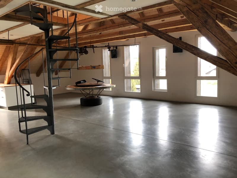 Appartement atypique, 152 m2 à Muriaux (2)