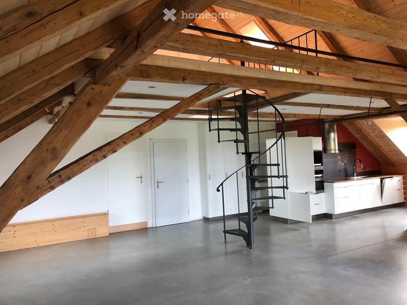 Appartement atypique, 152 m2 à Muriaux (1)