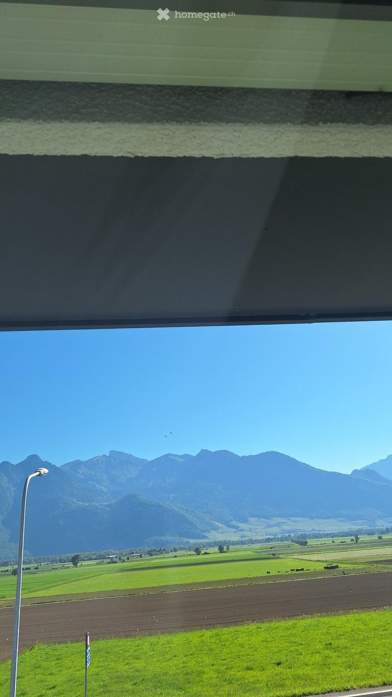 Magnifique appartement 3.5 pièces (2)