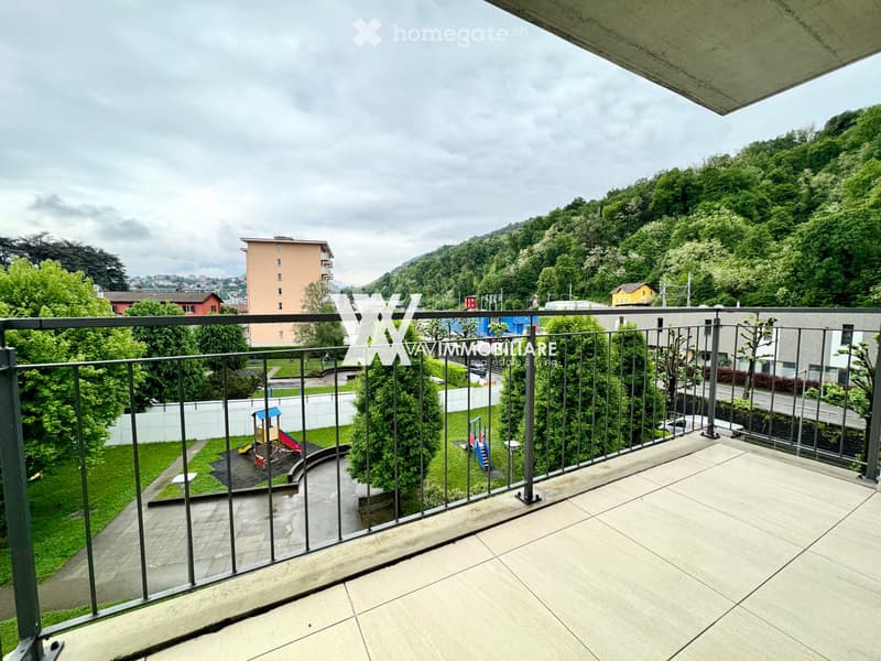 CHIASSO: LUMINOSO 2.5 LOCALI CON DOPPIO TERRAZZO (5)