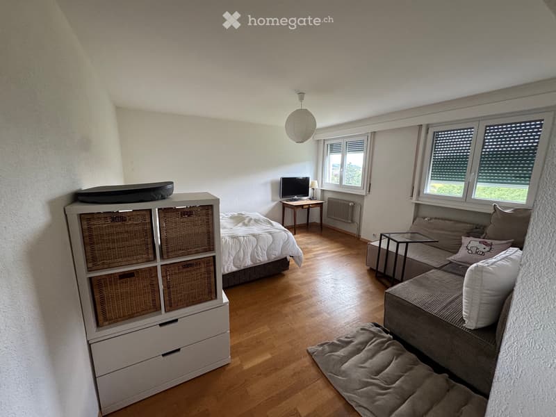 Charmant appartement de 1.5 pièces au Brassus (2)