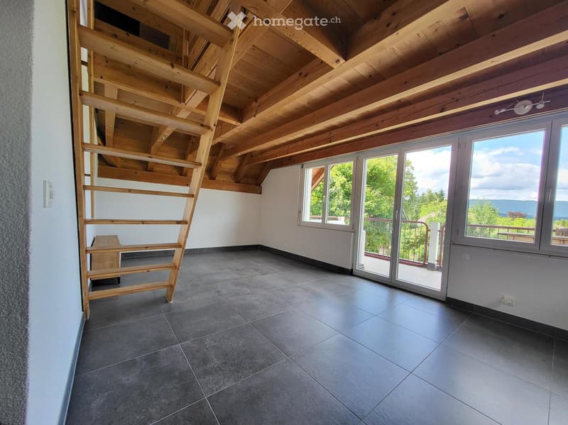 Zu vermieten: Schöne 2.5-Zimmer Duplex-Wohnung (3)