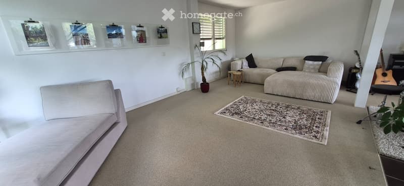 Grosszügige-Loft-Wohnung Fläche von 125m² mit Sonnendeck (2)