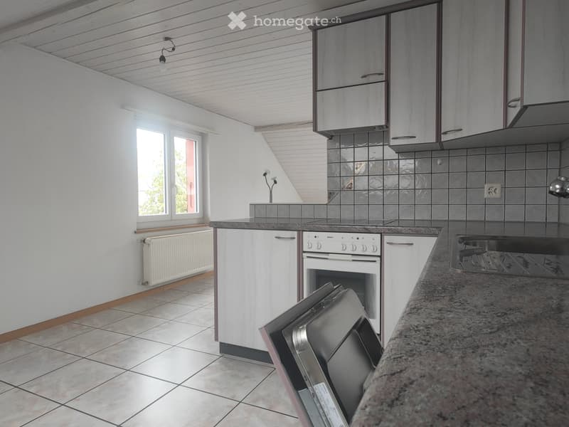 Appartement mansardé (4)