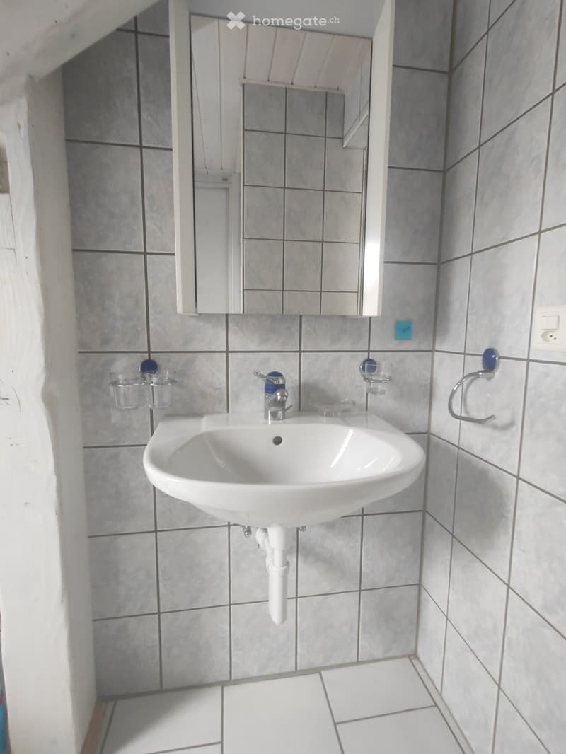Appartement mansardé (10)