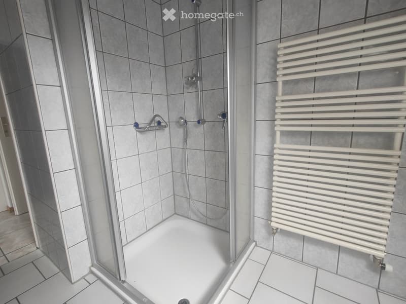 Appartement mansardé (9)