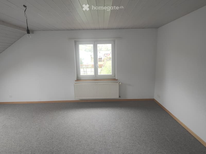 Appartement mansardé (7)