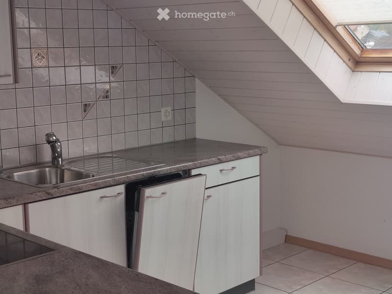 Appartement mansardé (2)