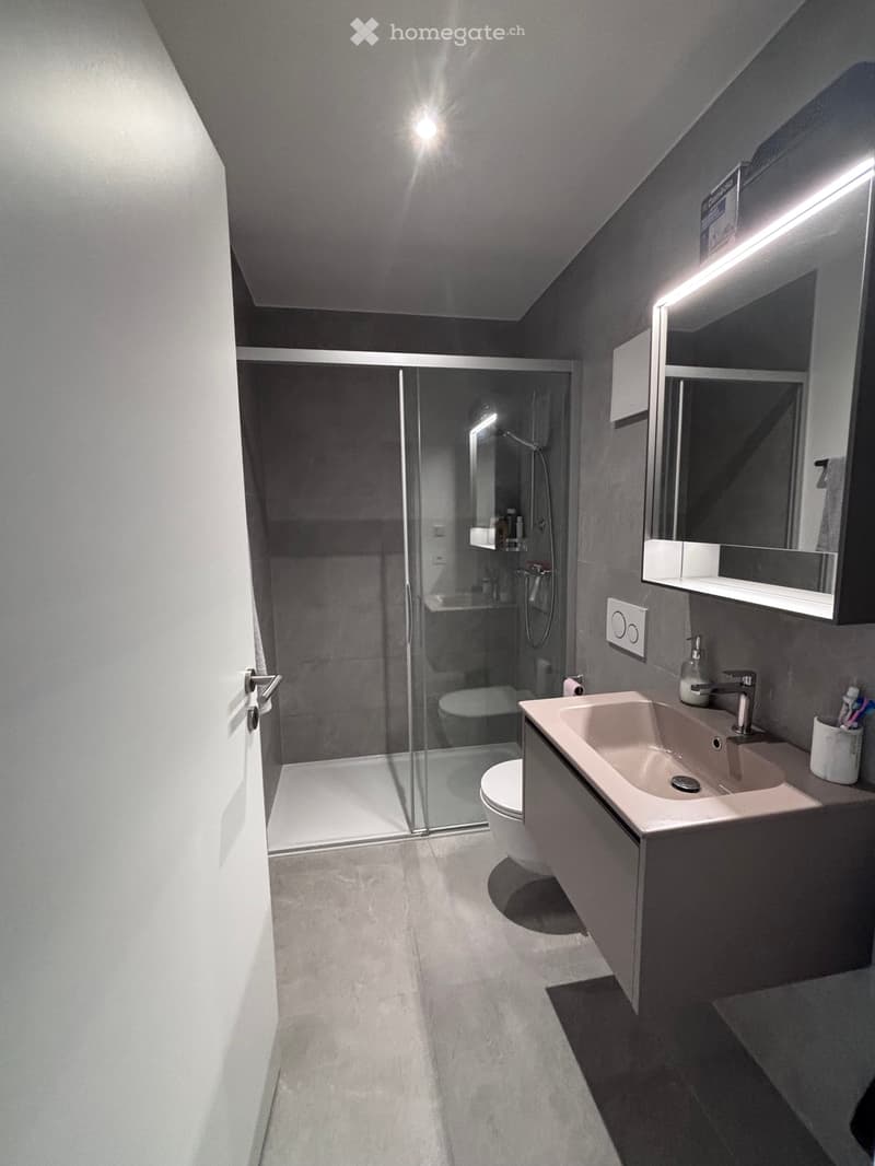 Appartement de 3,5 pièces récent (4)
