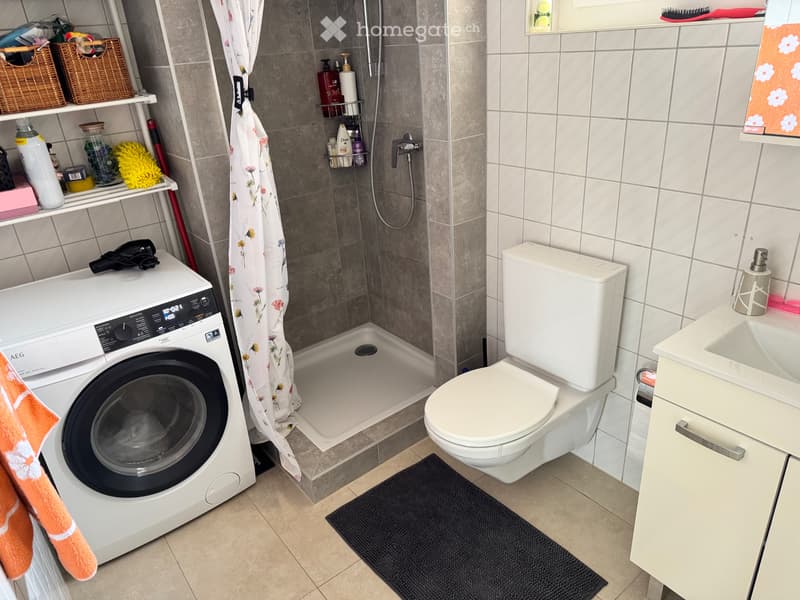 Appartement 2,5 pièces, reprise de bail (4)