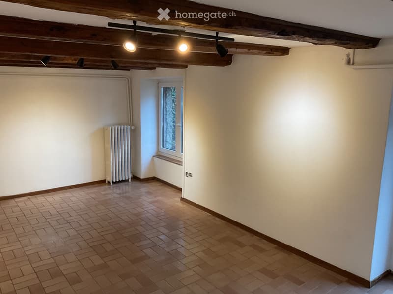 Cernier studio, avec entrée indépendante, jardinet. (3)