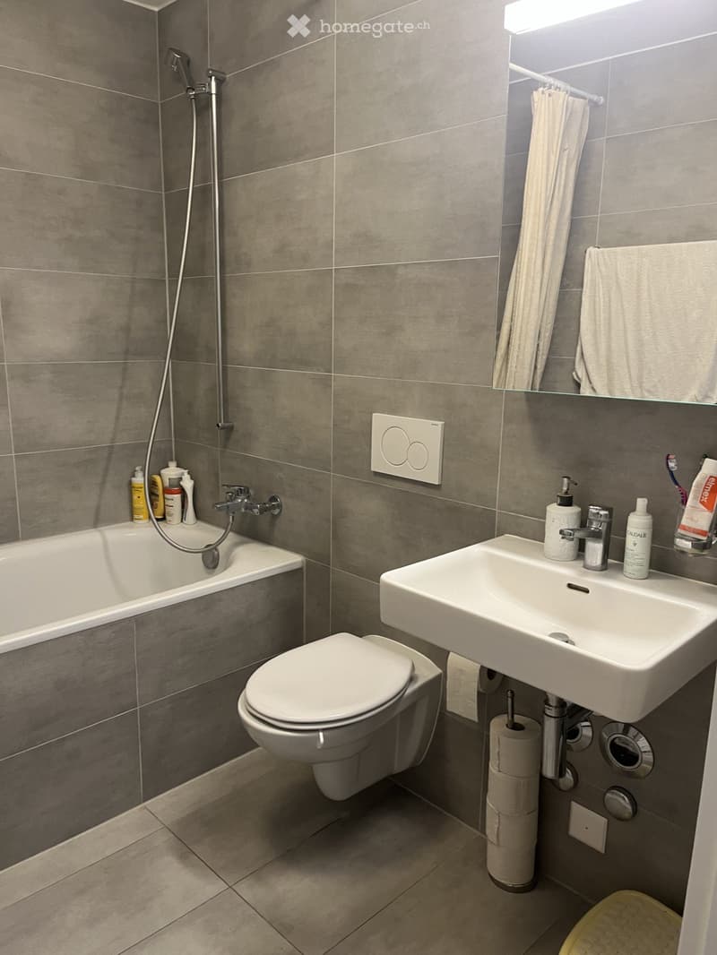 Lumineux appartement 3,5 pièces Fribourg (4)